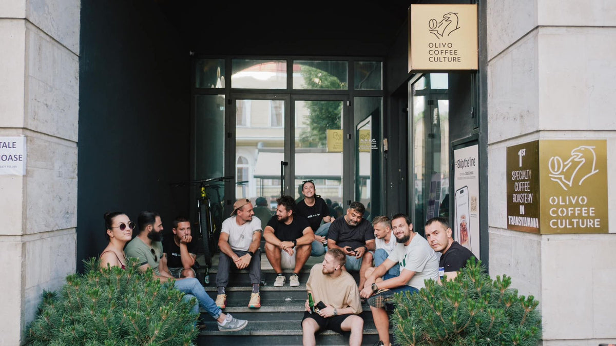 Olivo Coffee Culture
