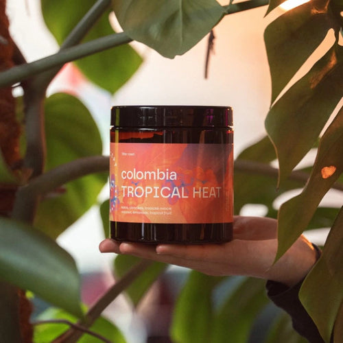 Kawa specialty Kolumbia Tropical Heat Pink Bourbon Coconut Water Cofermented – Concept Coffee | kokos, lemoniada