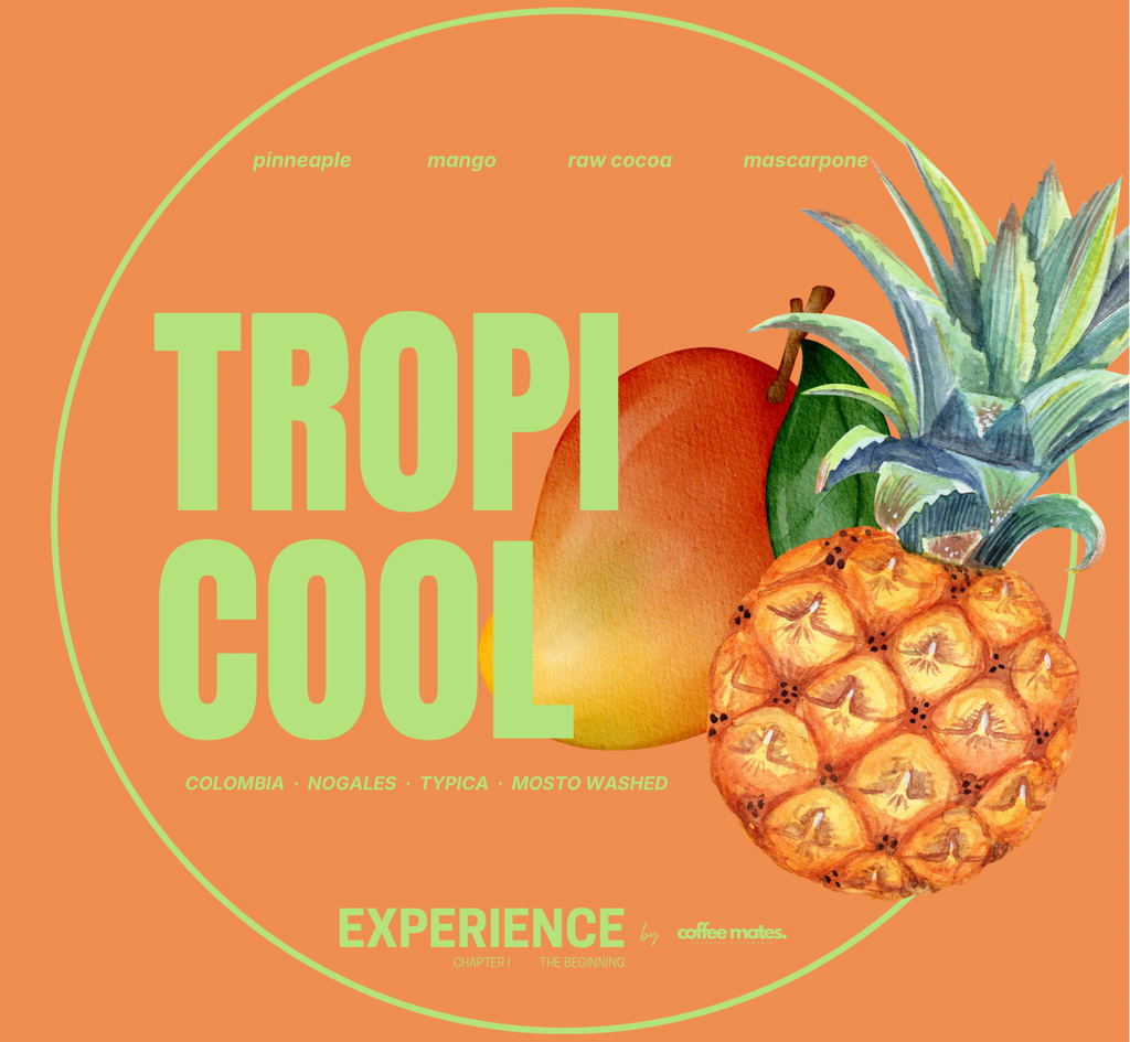 Experience Tropi Cool – Kolumbia Typica Mosto Fermented