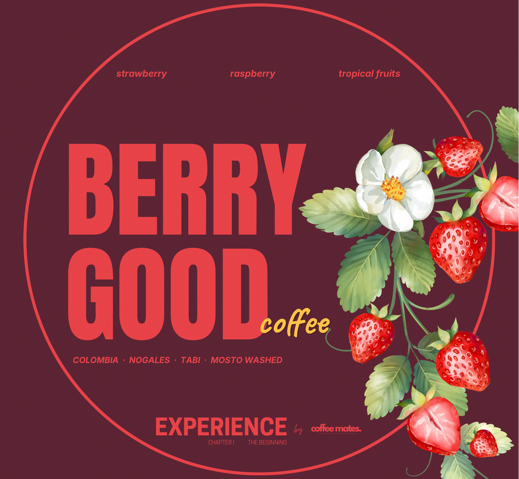 Experience Berry Good Coffee – Kolumbia Tabi Mosto Fermented