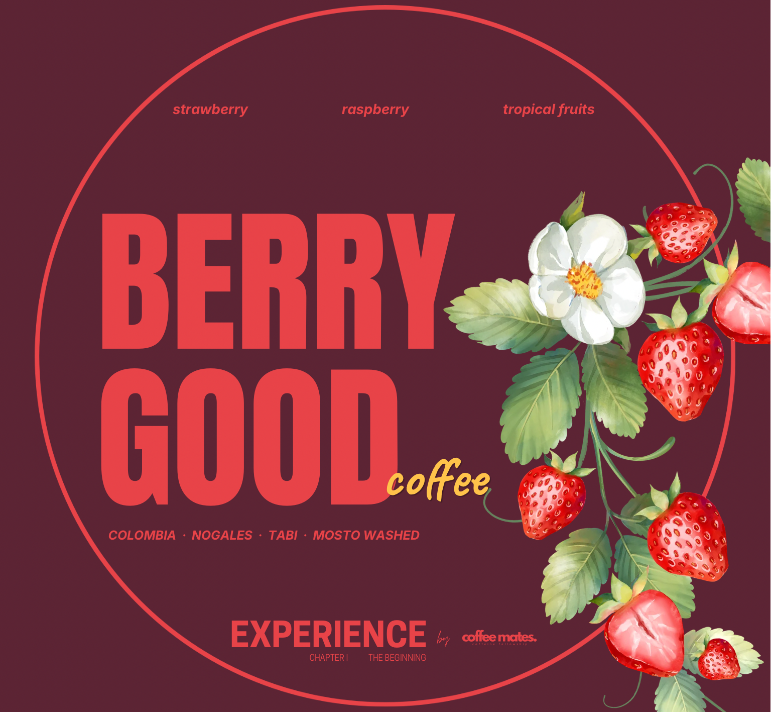 Experience Berry Good Coffee – Kolumbia Tabi Mosto Fermented