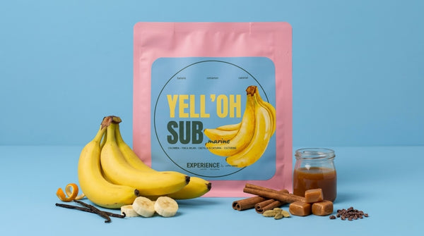 Experience Yell'oh Submarine – Kolumbia Finca Milan Castillo Caturra Culturing