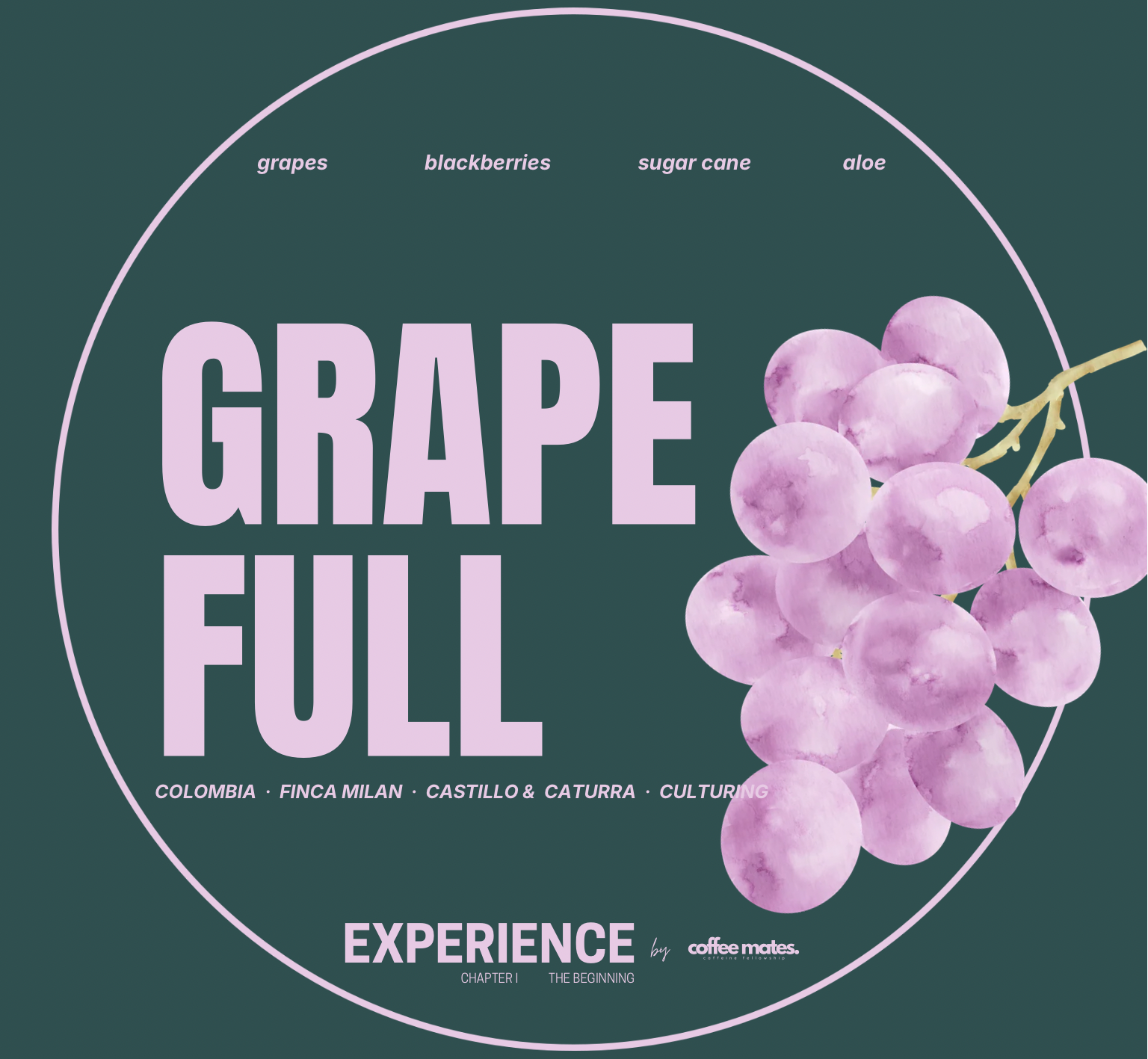 Experience Grape Full – Kolumbia Finca Milan Winogronowa Coferment