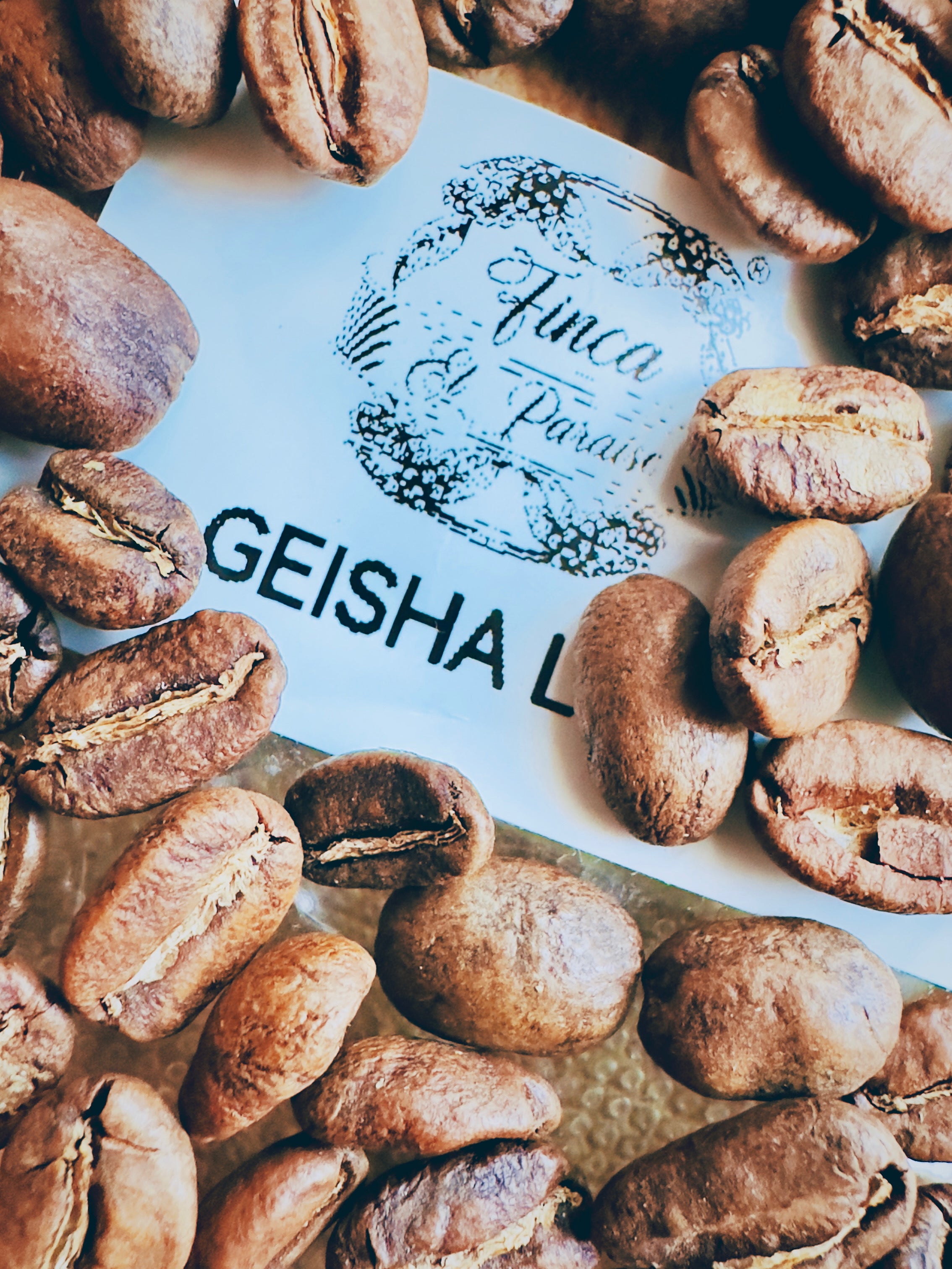 Gesha Luna Coffee Mates x Focusy – LIMITOWANA EDYCJA
