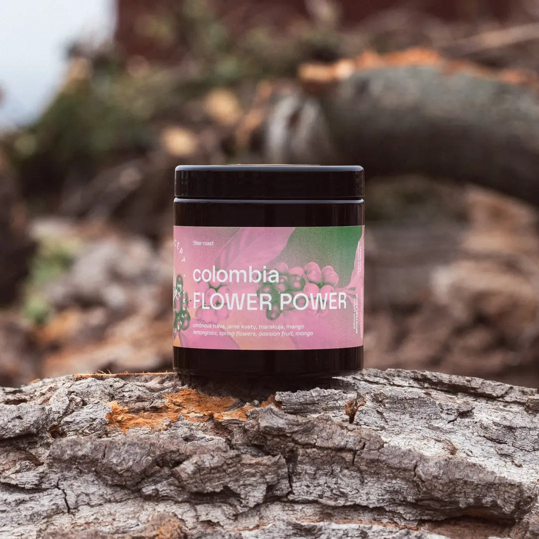 Concept Coffee Colombia Flower Power Rodrigo Sanchez cold cofermented pink bourbon