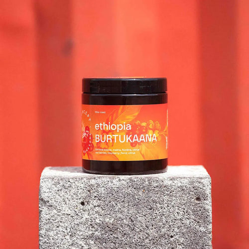 Concept Coffee Roasters Etiopia Burtukaana Natural