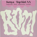 Boo Modern Coffee Kenia Top Kiri AA