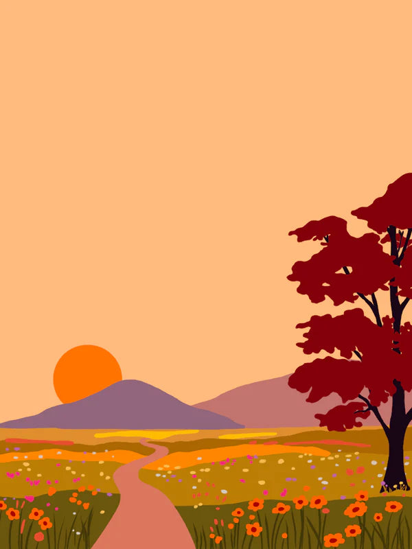 Sango Coffee Colombia Los Patios Anaerobic Honey Mossto