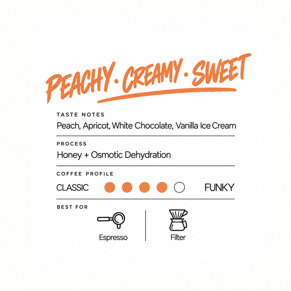 Kawa specialty Kolumbia Peachy Vanilla Fudge – SQR | brzoskwinia, morela, biała czekolada, lody waniliowe