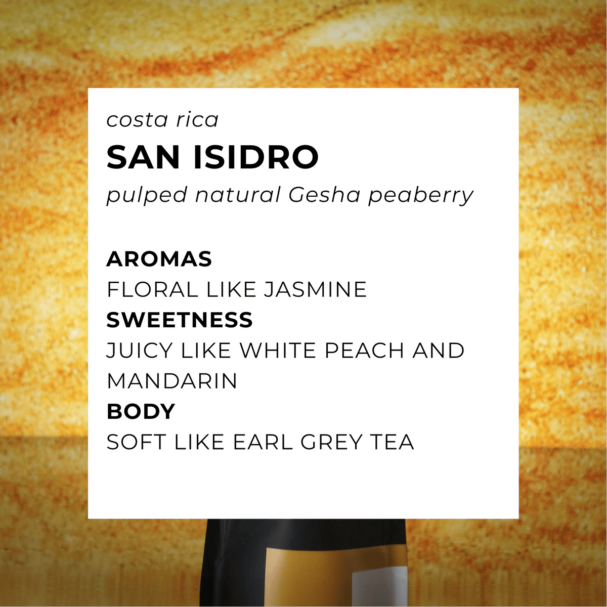Kostaryka San Isidro Gesha Peaberry