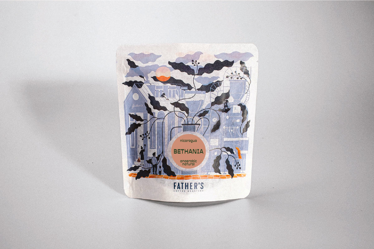 Kawa specialty Nikaragua Bethania – Father's | suszona żurawina, nugat, biała herbata