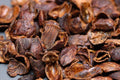 Cascara Suszone Owoce Kawowca