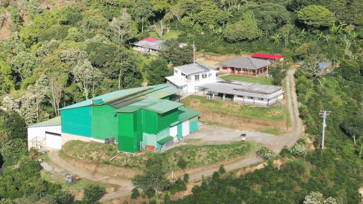 Finca El Paraiso farma kawowa Piendamo Cauca Kolumbia 1780m – Diego Bermudez INDESTEC specialty coffee